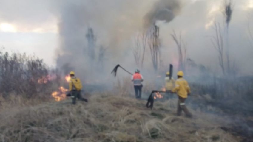 Bomberos controlan incendio, después de cinco horas, en Plan de Muyuguarda