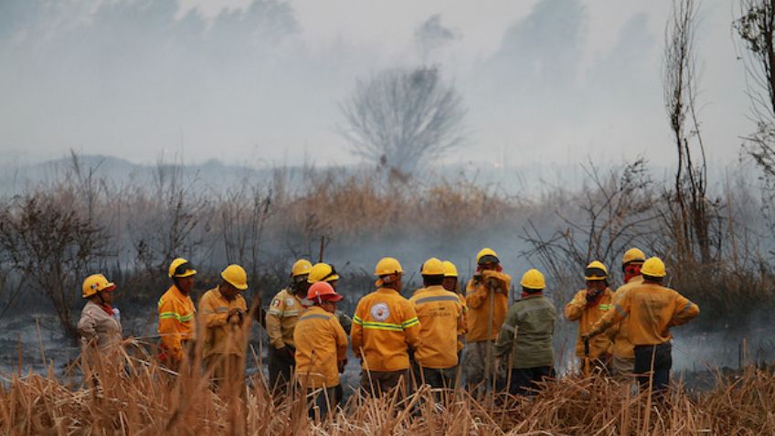 Bomberos controlan incendio, después de cinco horas, en Plan de Muyuguarda