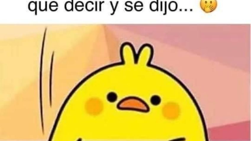 Así surgió el meme del pollito amarillo: "se tenía que decir y se dijo"