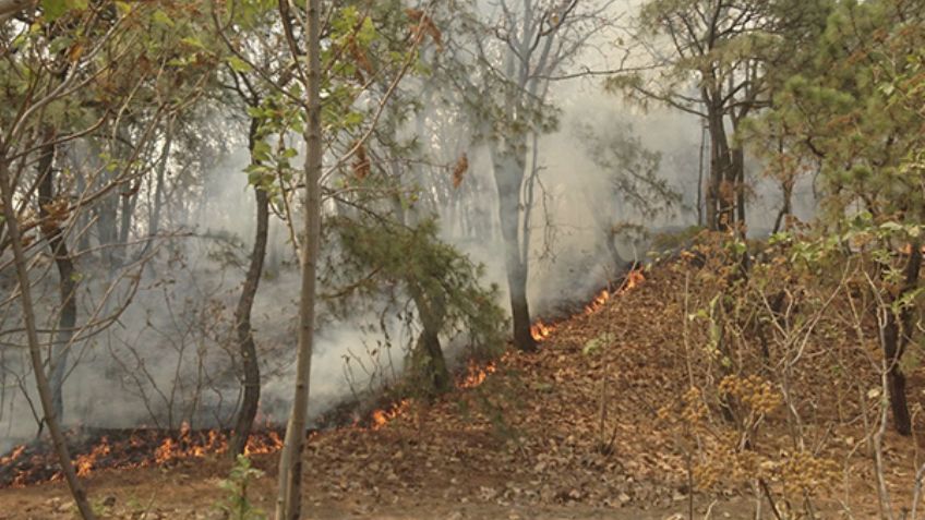 Saldo blanco por incendio en Bosque La Primavera; el fuego está contenido: Enrique Alfaro