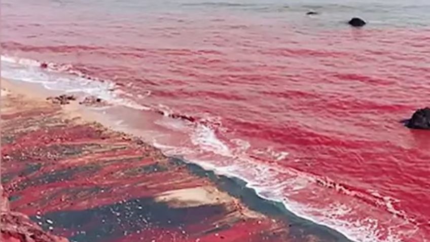 Mar de sangre sorprende a las costas de Irán; aquí la explicación del fenómeno