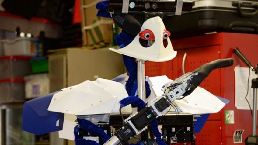 ¡Orgullo azul y oro! Robot de la UNAM gana segundo lugar en Sidney, Australia