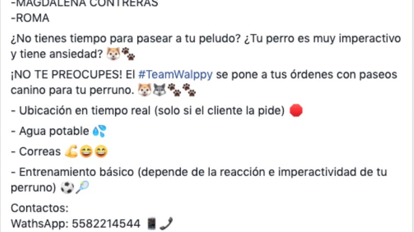 Hasta 20 mil pesos al mes, eso es lo que ganan los paseadores de perros en la CDMX: HISTORIA