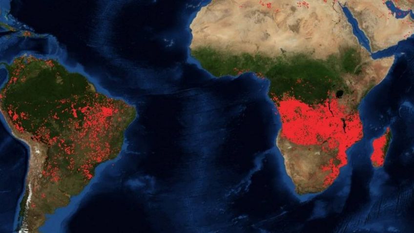 ¡No sólo es el Amazonas! El segundo pulmón del mundo también arde en África