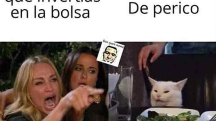 Recopilación de los mejores memes del gato en la mesa