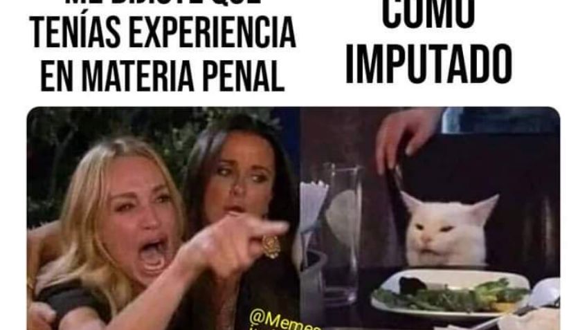 Recopilación de los mejores memes del gato en la mesa