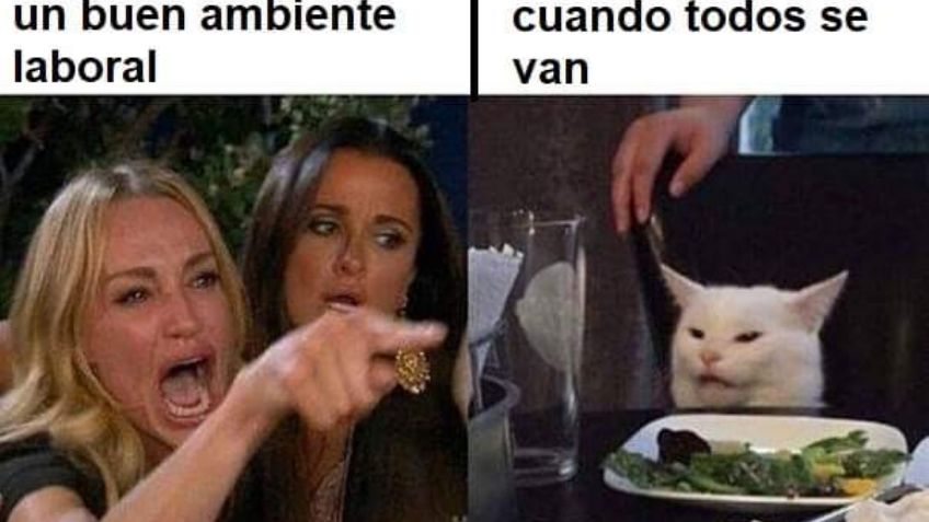 Recopilación de los mejores memes del gato en la mesa