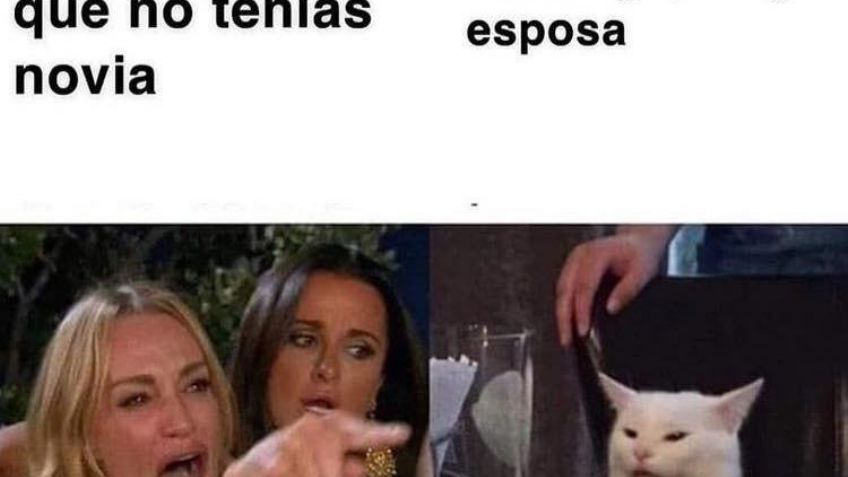 Recopilación de los mejores memes del gato en la mesa