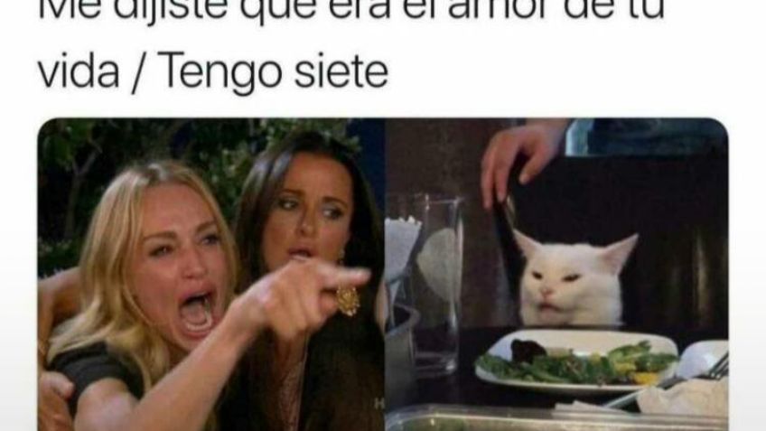 Recopilación de los mejores memes del gato en la mesa