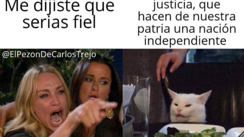 Recopilación de los mejores memes del gato en la mesa