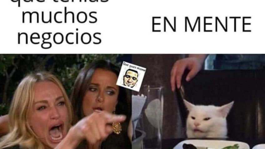 Recopilación de los mejores memes del gato en la mesa