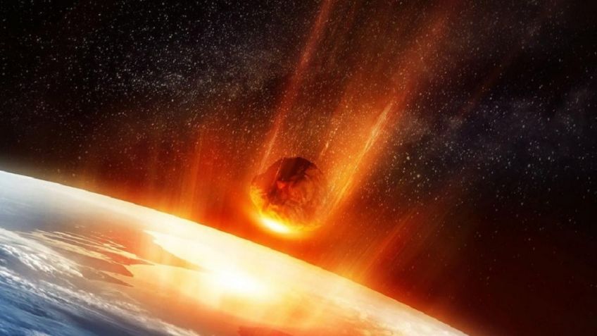 ¿Qué pasó tras la caída del meteorito que extinguió a los dinosaurios? Te lo contamos