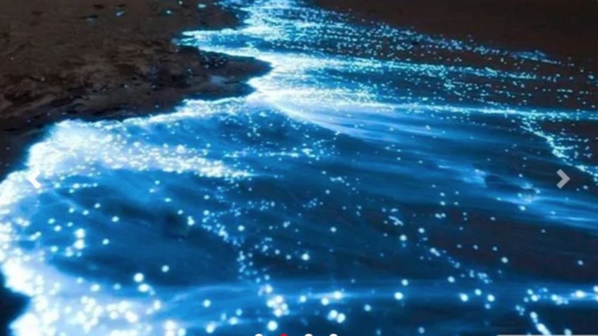 Bioluminiscencia; Así de majestuoso se vio Puerto Peñasco con este efecto: FOTOS