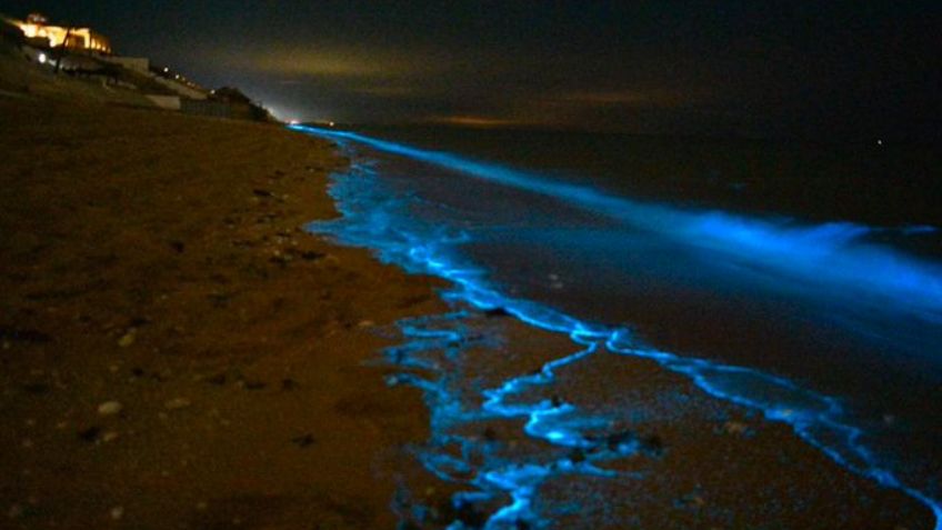 Bioluminiscencia; Así de majestuoso se vio Puerto Peñasco con este efecto: FOTOS