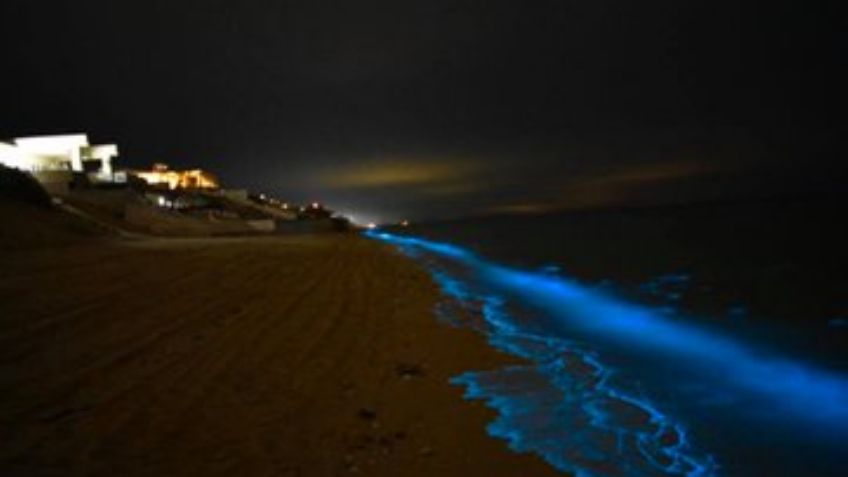 Bioluminiscencia; Así de majestuoso se vio Puerto Peñasco con este efecto: FOTOS