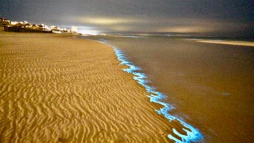 Bioluminiscencia; Así de majestuoso se vio Puerto Peñasco con este efecto: FOTOS