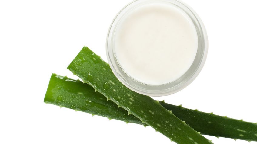 ¿Padeces artritis o colesterol alto? No dejes de consumir aloe vera, notarás sus beneficios