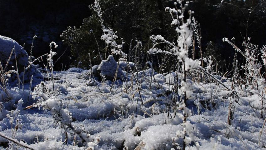 Así son los lugares más fríos de México: FOTOS+VIDEO