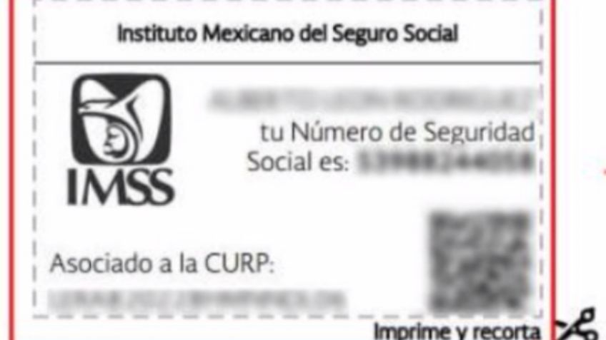 ¿Sabes qué significa tu número de afiliación del IMSS? Aquí te lo decimos