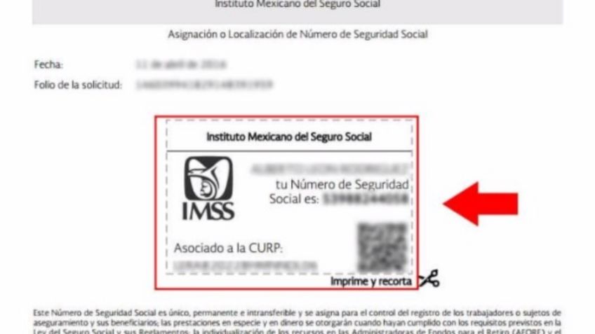 ¿Sabes qué significa tu número de afiliación del IMSS? Aquí te lo decimos