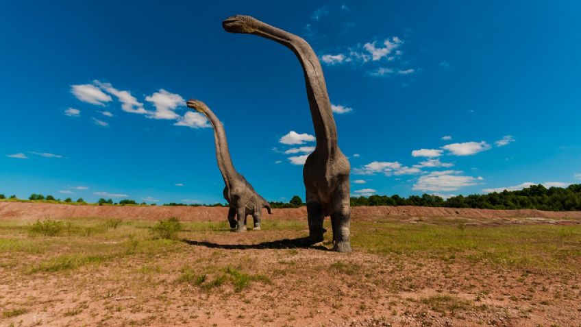 Fósiles en Patagonia pueden dar respuesta a la extinción de los dinosaurios