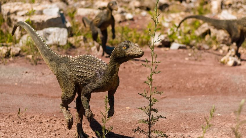 Fósiles en Patagonia pueden dar respuesta a la extinción de los dinosaurios