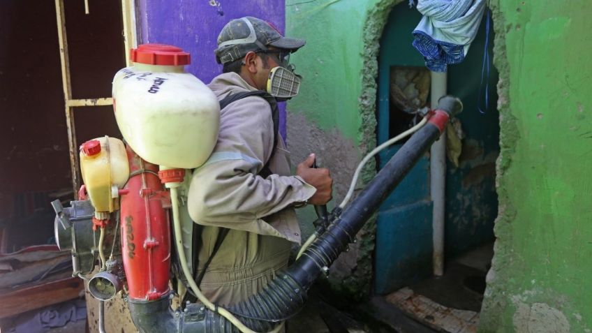 Aumenta incidencia en casos de dengue en Puebla