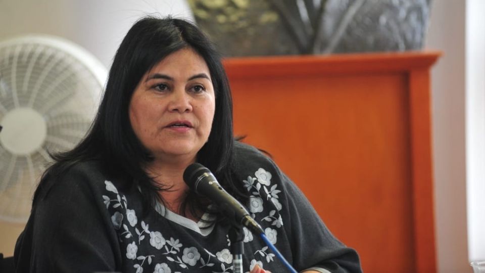 La presidenta de la Comisión de Administración Pública Local del Congreso CDMX, Guadalupe Chavira, pidió la comparecencia del alcalde. Foto: Especial