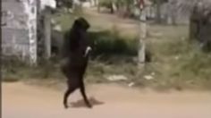 VIDEO VIRAL: ¿Qué está pasando? Captan caminando como una persona a cabra negra en la India