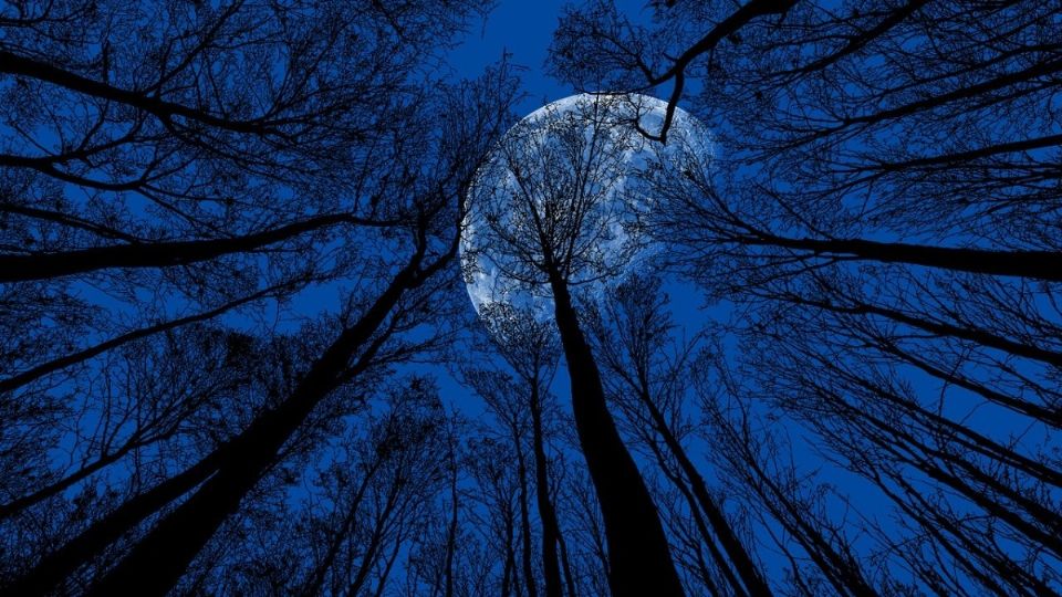 Imagen ilustrativa de Luna Azul. Foto: Pixabay