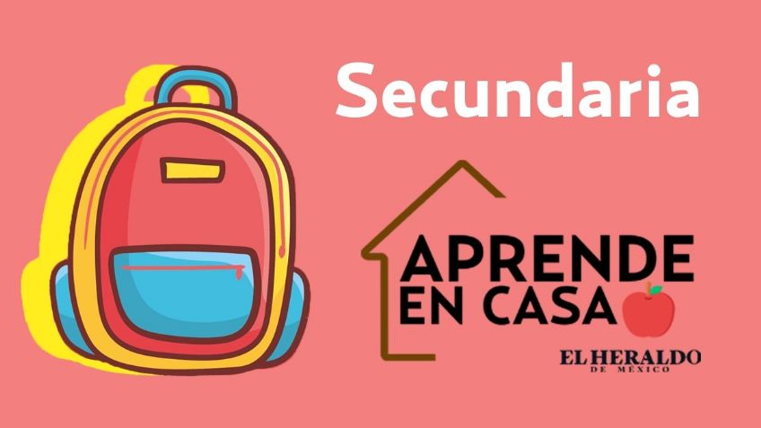 Preguntas Aprende en Casa 2 SEP | Secundaria, 13 de Octubre: actividades y respuestas