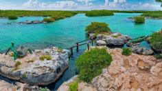 Yal-kú, el paraíso de aguas turquesas en Riviera Maya ideal para los amantes de la naturaleza