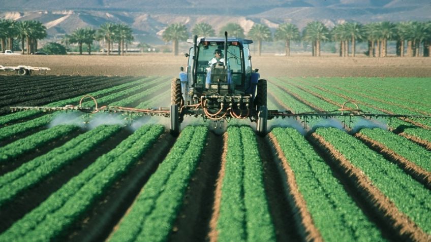 Concluyen eliminación de Financiera Rural