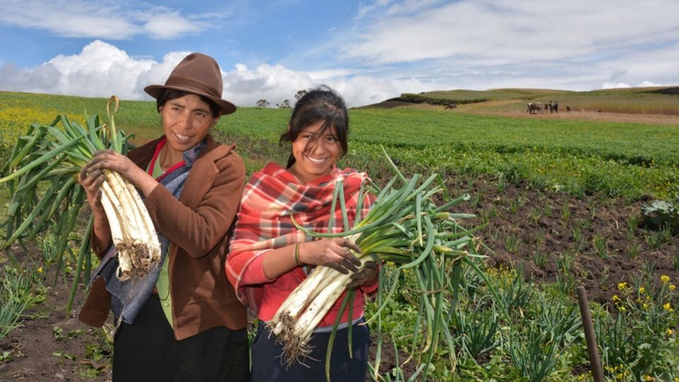 La emisión del bono social de género es la primera en su tipo en México y constituye un mecanismo que busca atraer más inversionistas Foto: Especial