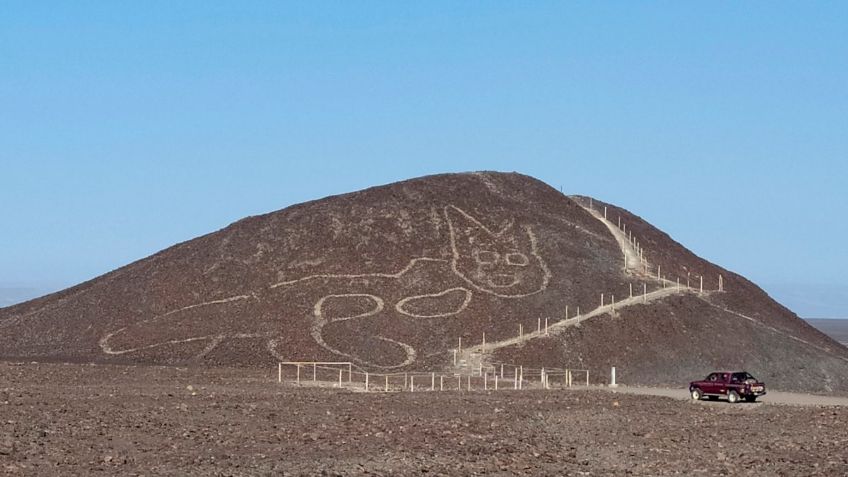 Descubren imagen de "mishi" de 37 metros en Nazca, Perú: FOTOS