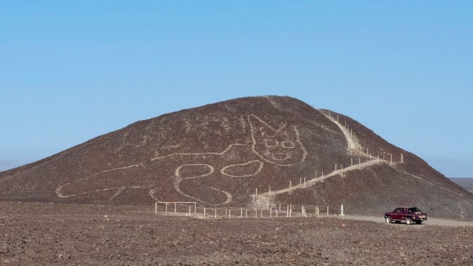 El hallazgo inicial se produjo a inicios de este año, pero por el COVID, hasta apenas se continuó con los trabajos. Foto: AP