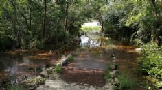 INUNDADA zona arqueológica de Dzibilchaltún en Yucatán: FOTOS