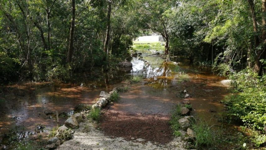 INUNDADA zona arqueológica de Dzibilchaltún en Yucatán: FOTOS