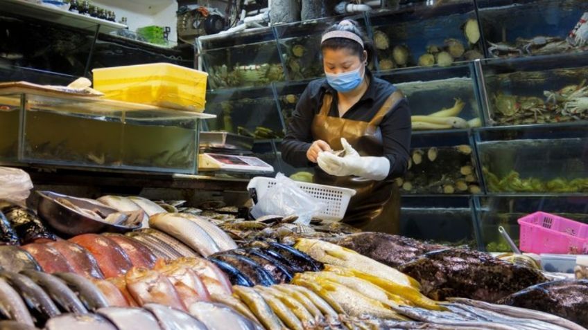 Covid-19 puede contraerse a través de envases de alimentos congelados, alertan expertos