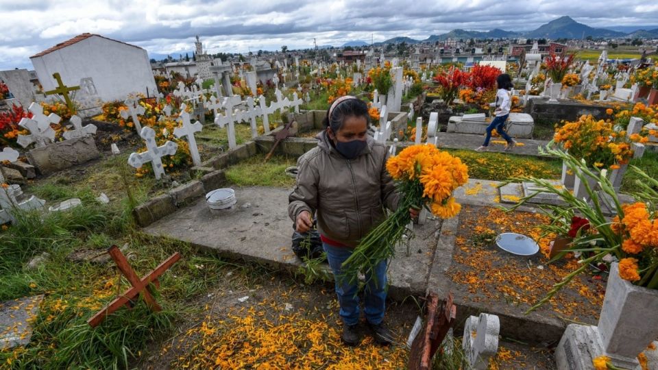 Floricultores de Edomex invitan a la población a no perder la tradición con ofrendas desde casa. Foto: Especial