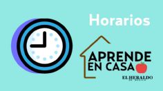 Aprende en Casa 2 SEP: Horarios y materias 20 de octubre, preescolar, primaria y secundaria