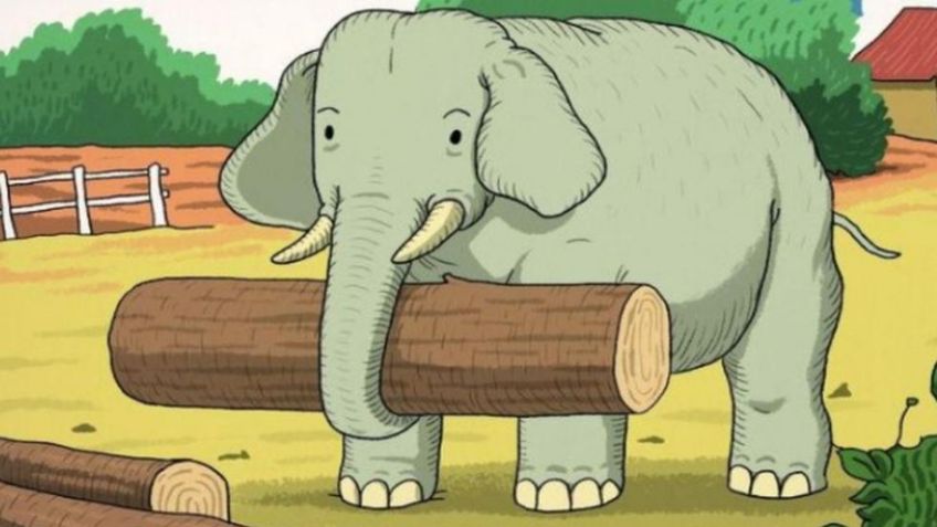 Reto Visual: ¿Puedes ver al otro animal al lado del elefante? 99% de las personas no logran resolver este desafío “imposible”