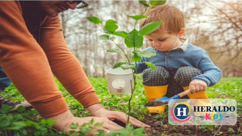 Cómo hacer huertos en casa: tips para sembrar con los niños