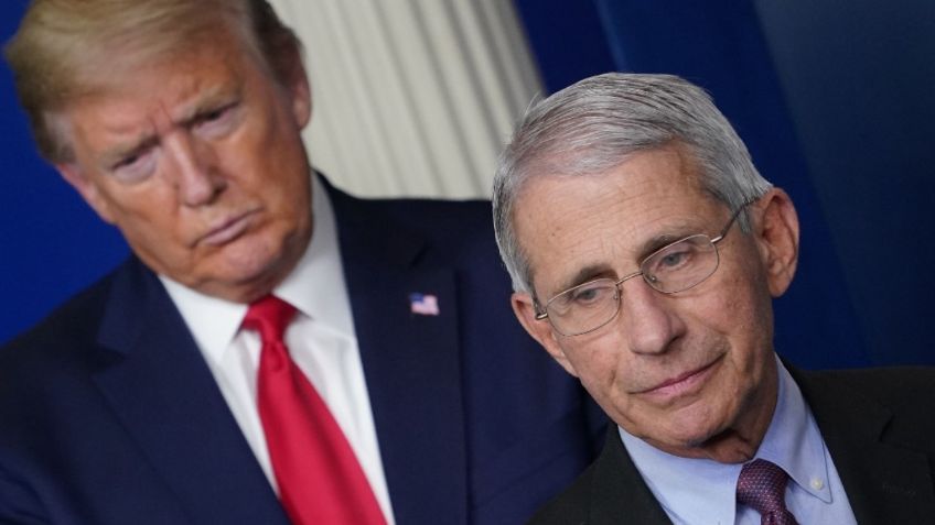 Trump llama 'idiota' a Anthony Fauci, principal experto del gobierno vs Covid-19