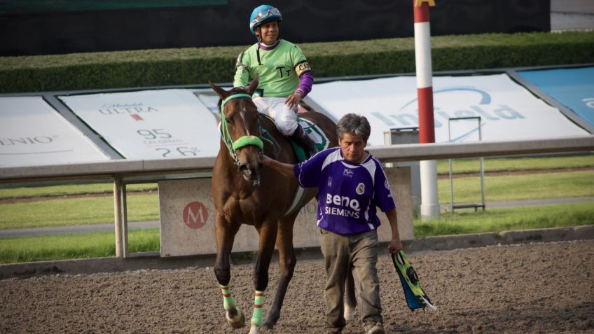 Arrancan las carreras en el Hipódromo de las Américas; ¿cuándo y cómo verlas?