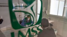 IMSS: ¿Cómo consultar mi numero semanas cotizadas por internet?