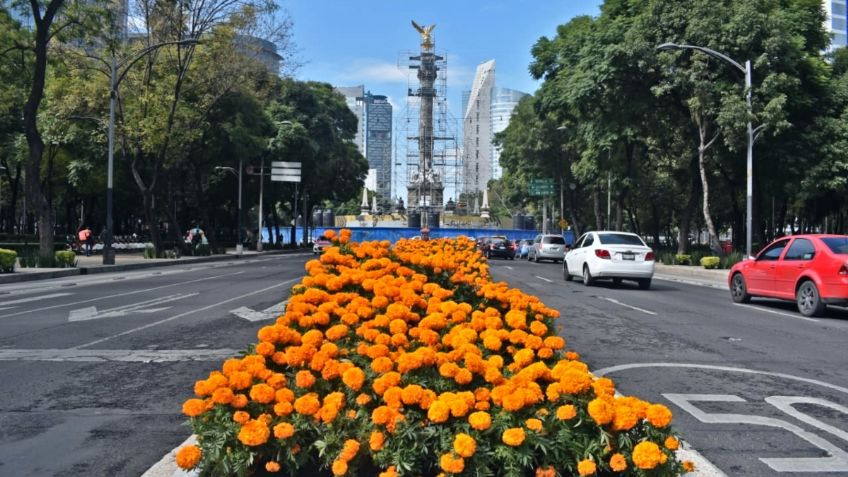 Día de Muertos: Paseo de la Reforma se viste de naranja con la llegada de flores de cempasúchil