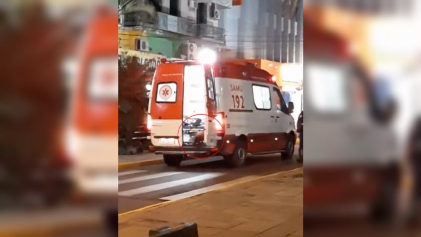 ¡Amor incondicional! Perrito se infiltra en ambulancia para acompañar a su dueño herido: VIDEO