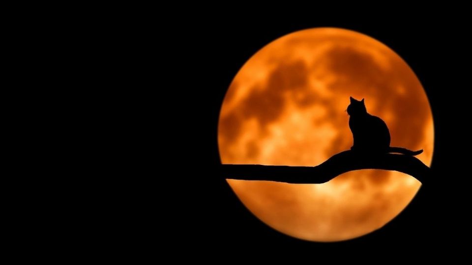 Luna llena. Foto: Pixabay