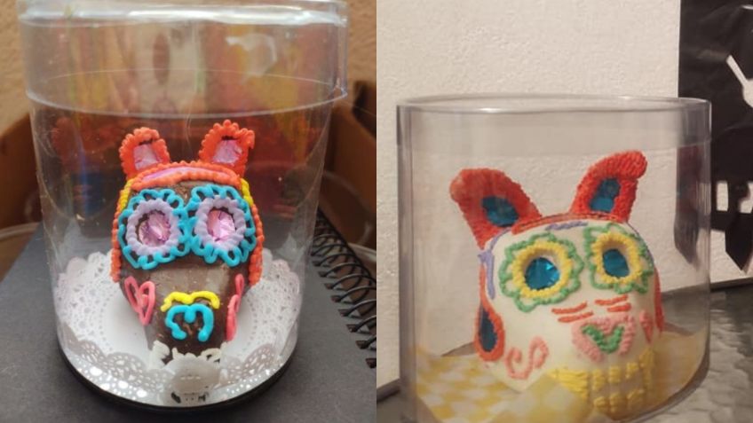 ¡"Calaveritas" con garra! Refugio de perritos recauda fondos con dulces del Día de Muertos